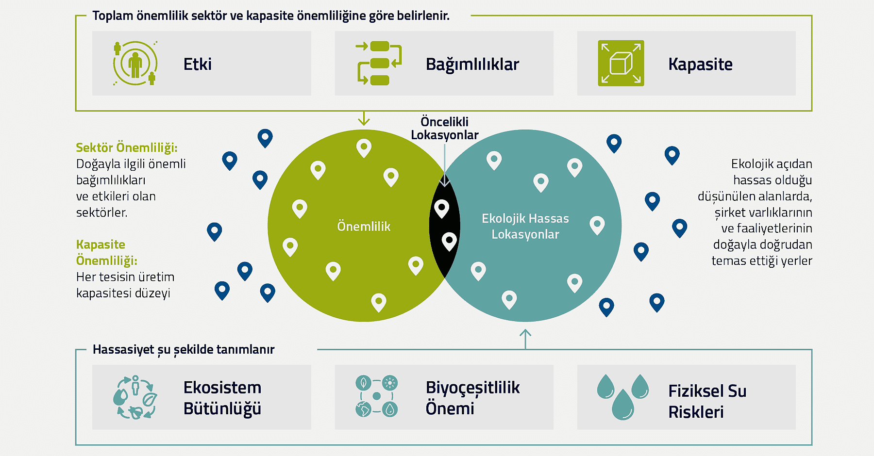 cimsa-biyocesitlilik-diyagram